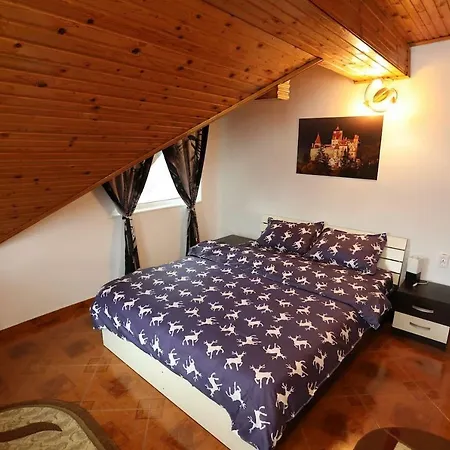 Apartment Penthouse In Leo's