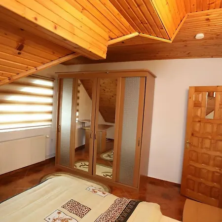 Apartment Penthouse In Leo's Bucharest