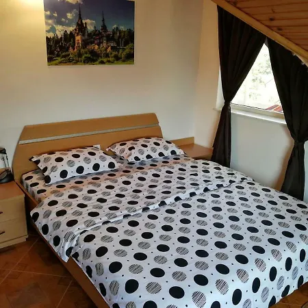 Penthouse In Leo's Bucharest