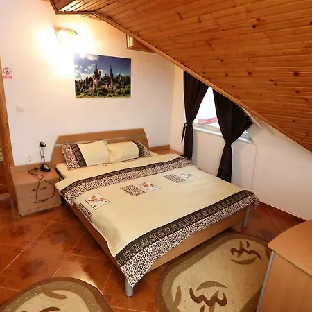 Apartment Penthouse In Leo's